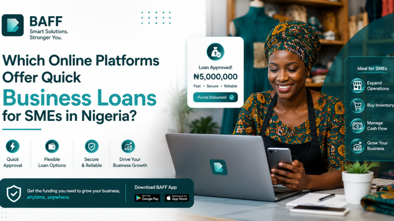 Which Online Platforms Offer Quick Business Loans for SMEs in Nigeria